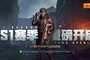 201905160643418886707237358s