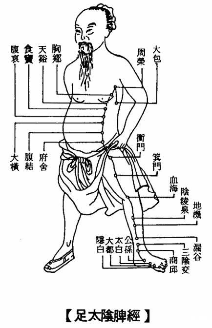 卷六·足太阴脾经