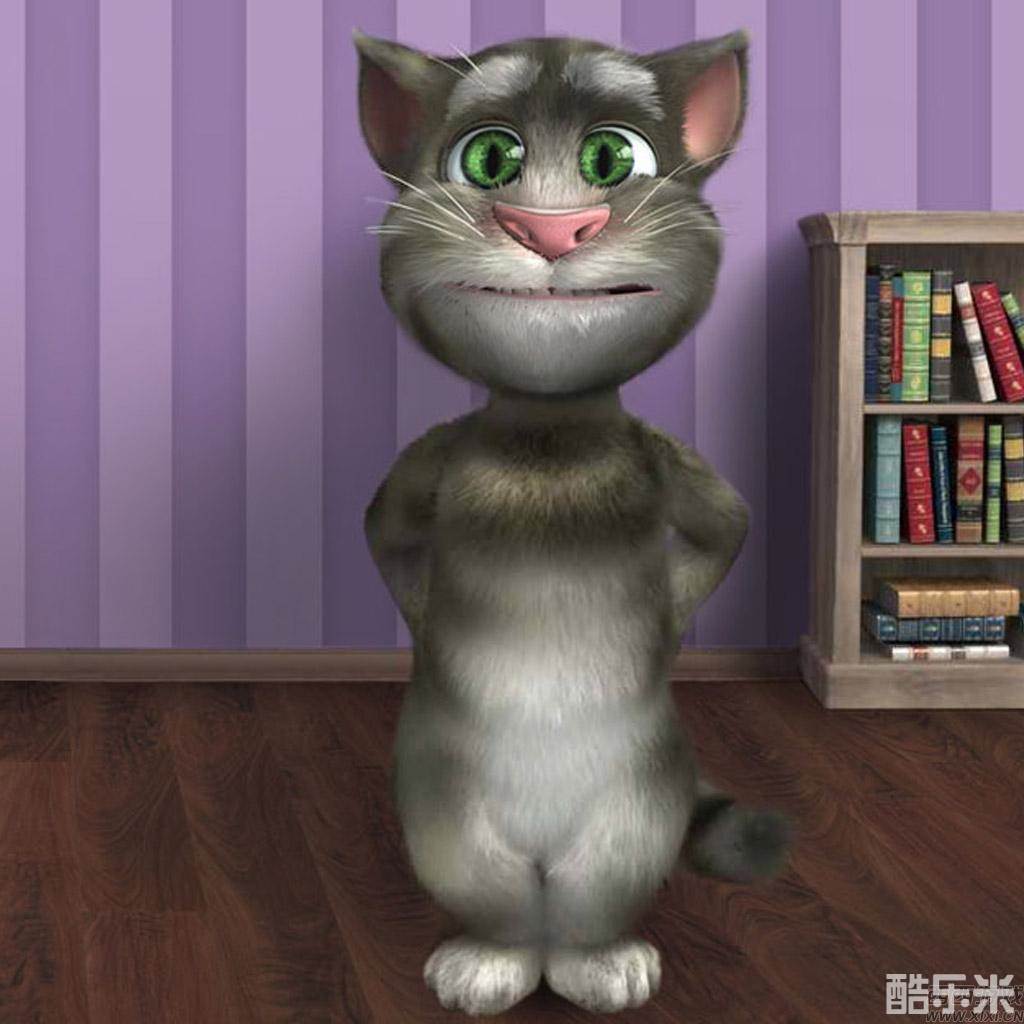 会说话的汤姆猫