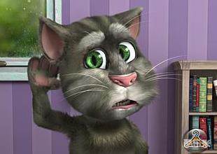 会说话的汤姆猫