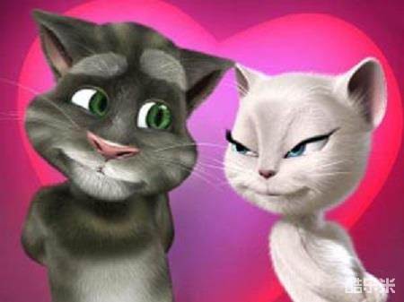 会说话的汤姆猫