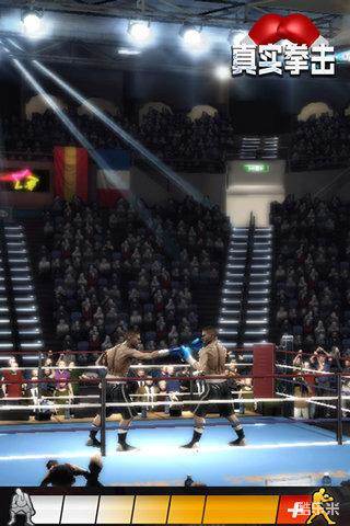 真实拳击