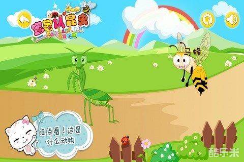 宝宝认昆虫