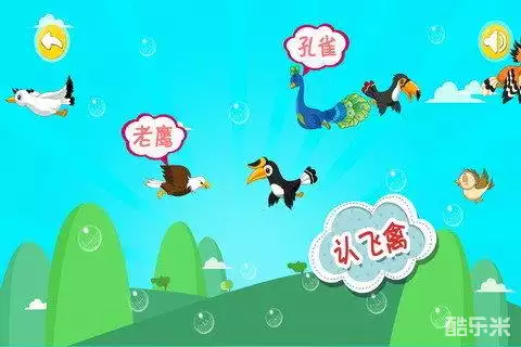 宝宝认飞禽