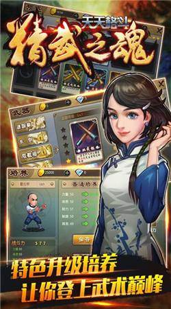 天天格斗精武之魂