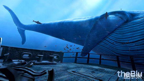 蓝色海洋VR
