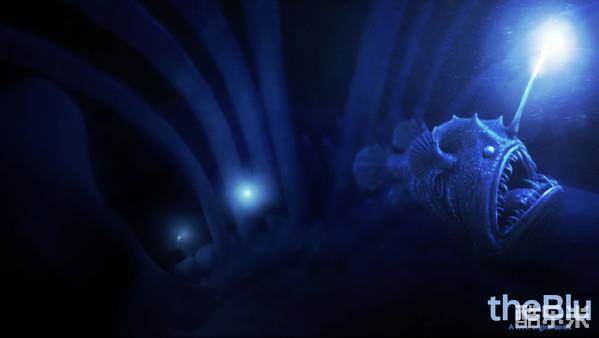 蓝色海洋VR