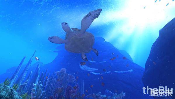 蓝色海洋VR