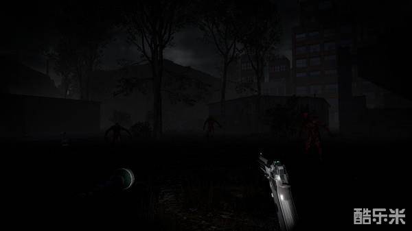 布鲁克海文试验