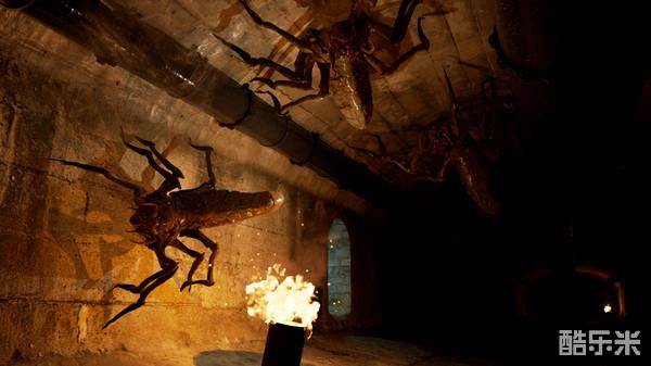 布鲁克海文试验