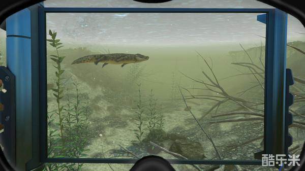 潜水世界VR