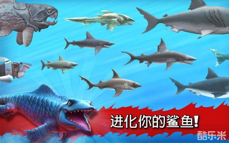 饥饿的鲨鱼:进化