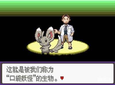 口袋妖怪漆黑的魅影