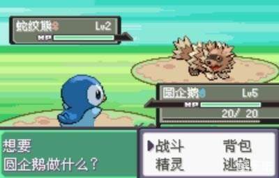 口袋妖怪漆黑的魅影