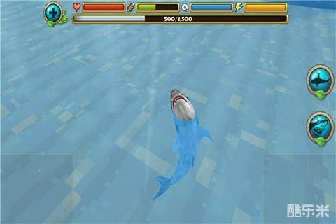 饥饿的鲨鱼攻击模拟