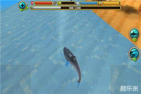 饥饿的鲨鱼攻击模拟