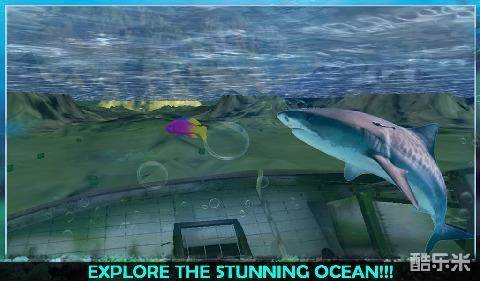 饥饿的大白鲨3D复仇