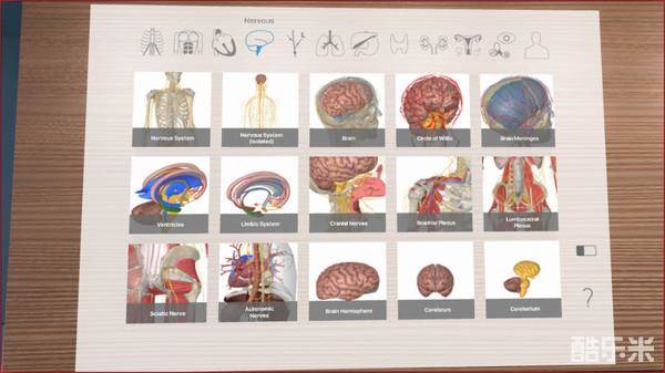 三维解剖工具VR