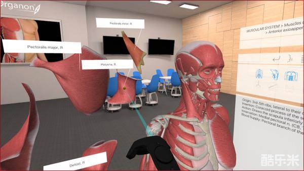 三维解剖工具VR