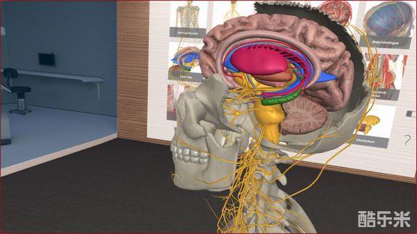 三维解剖工具VR