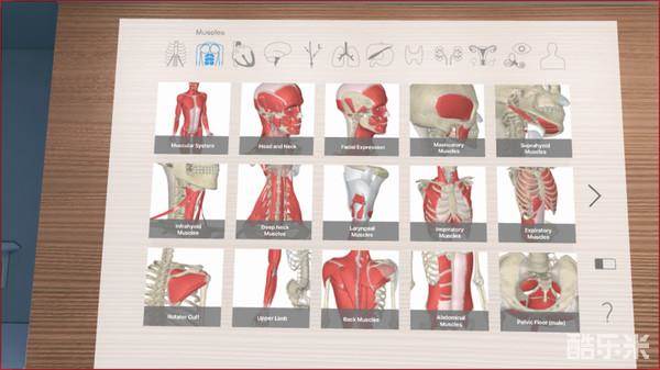 三维解剖工具VR
