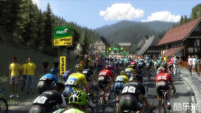 职业自行车队经理2014