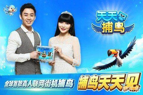 天天捕鸟