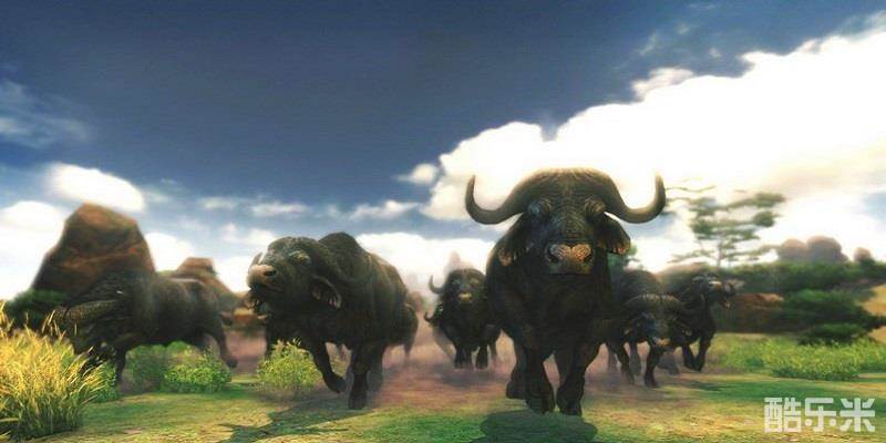 坎贝拉非洲冒险