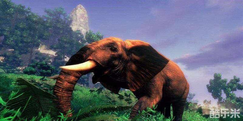 坎贝拉非洲冒险