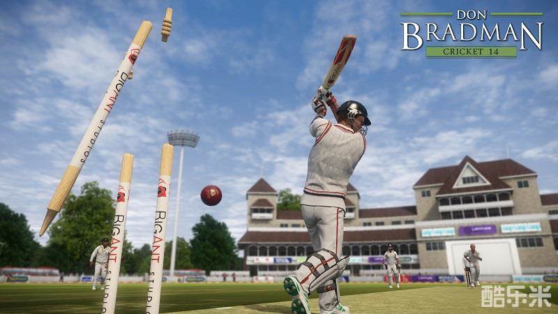 唐纳德布莱德曼板球14