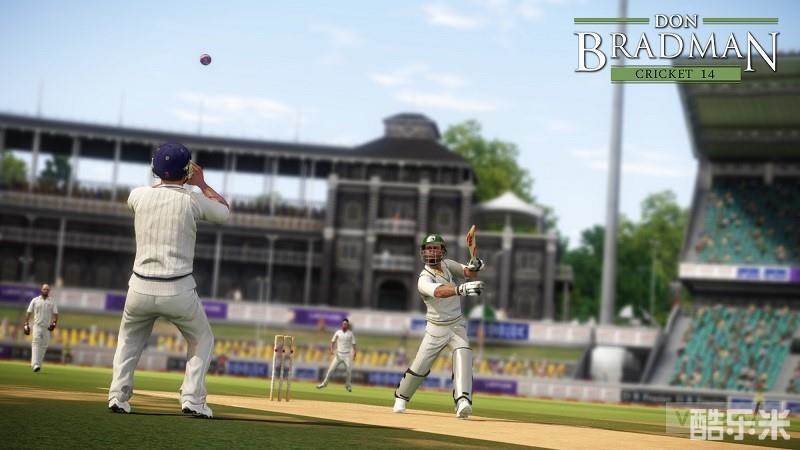 唐纳德布莱德曼板球14