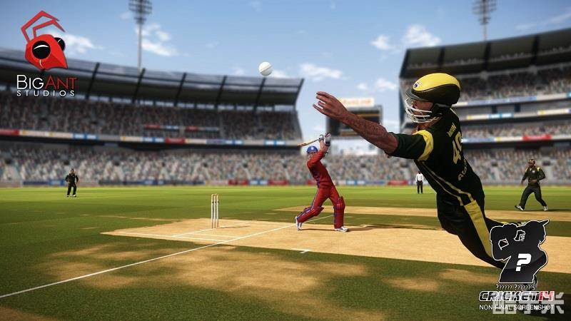 唐纳德布莱德曼板球14