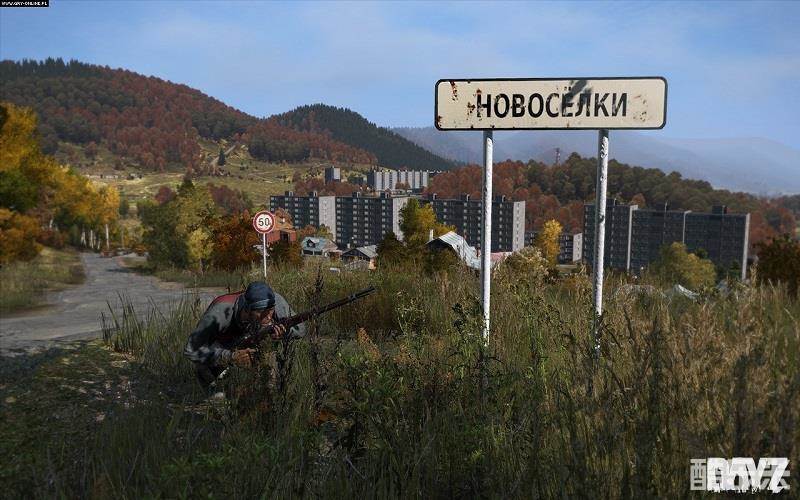 DayZ