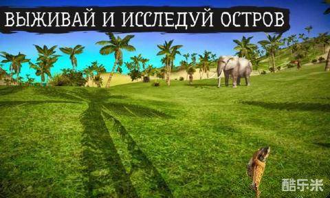 荒岛求生:进化