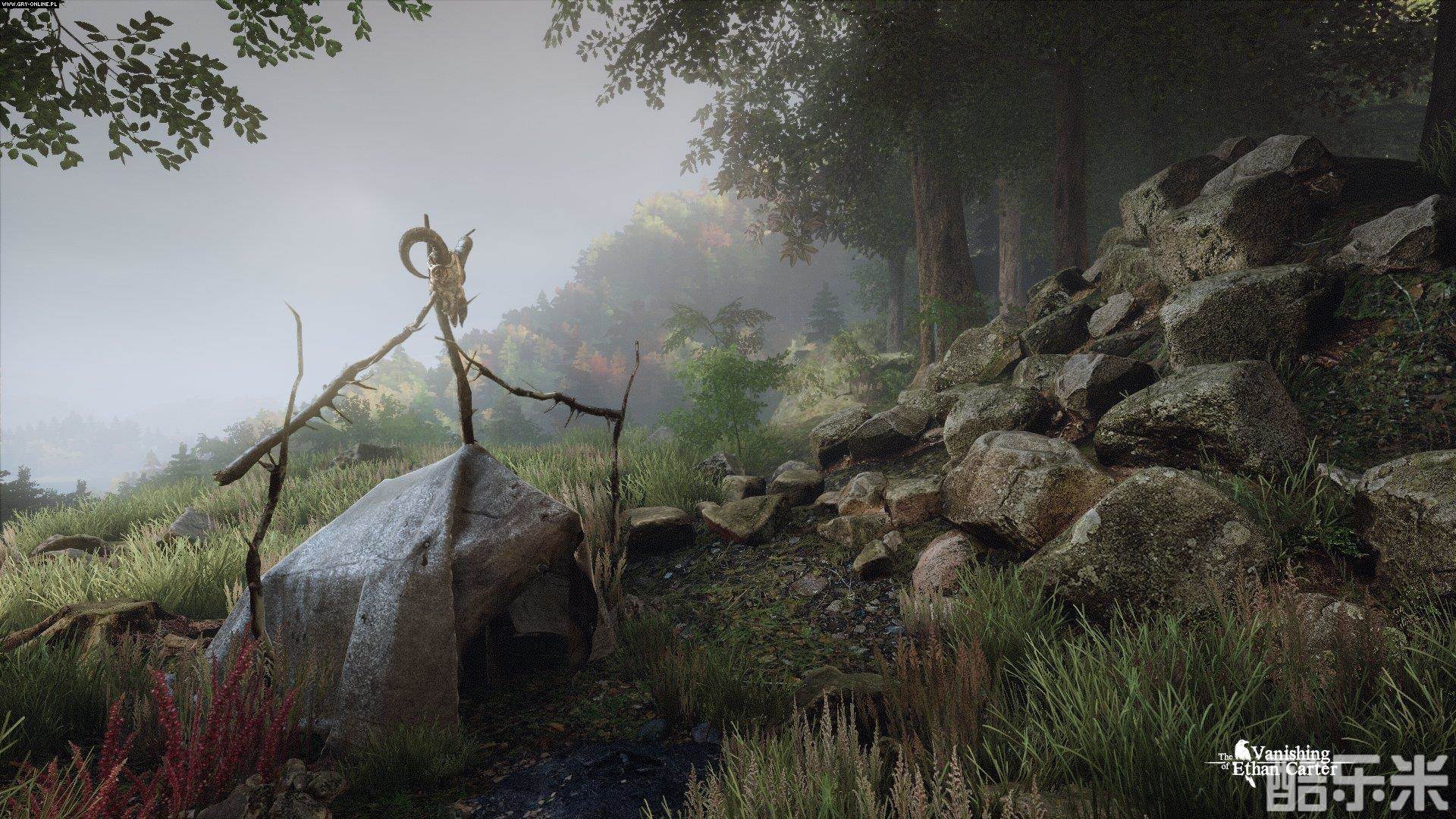 伊森卡特失踪之谜