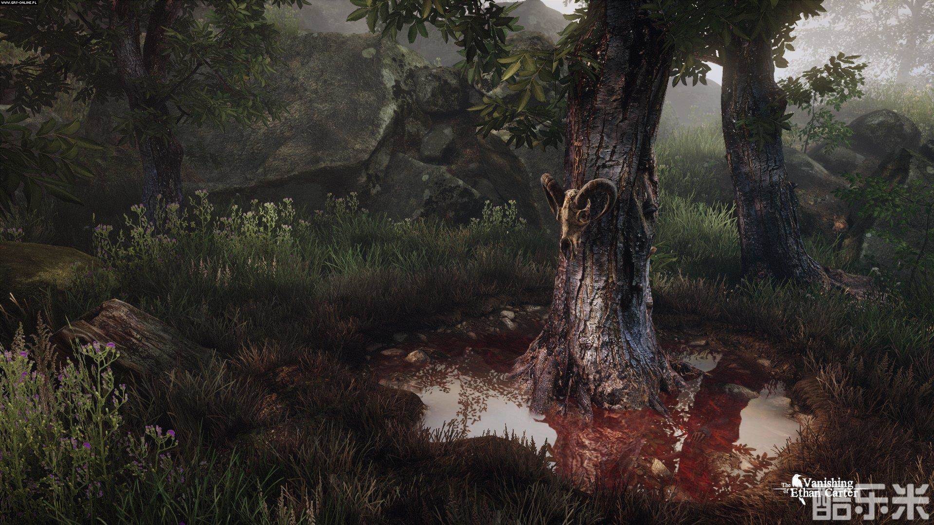 伊森卡特失踪之谜