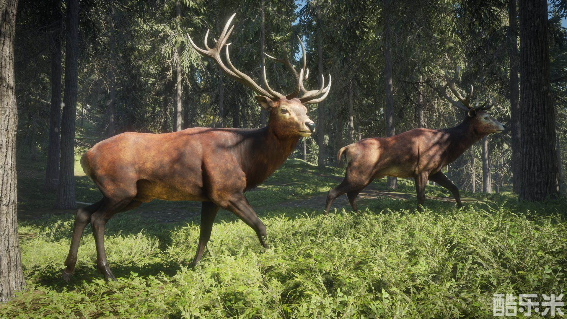 猎人:野性的呼唤