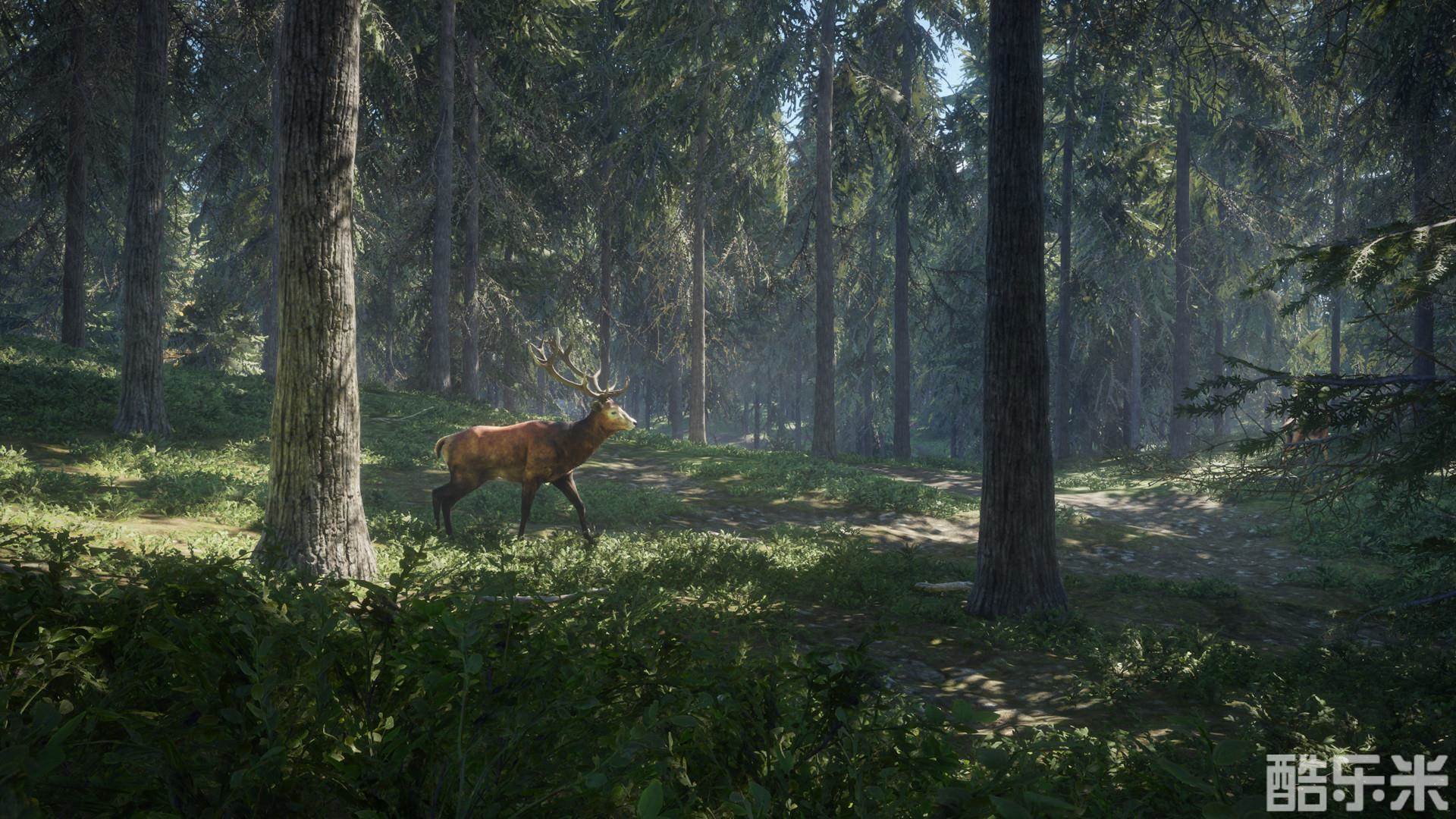 猎人:野性的呼唤