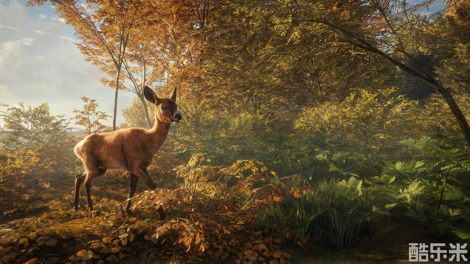 猎人:野性的呼唤