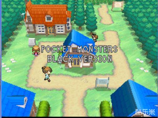 口袋妖怪黑白