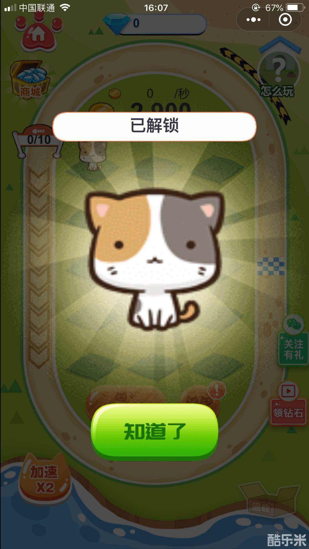 猫猫赛跑