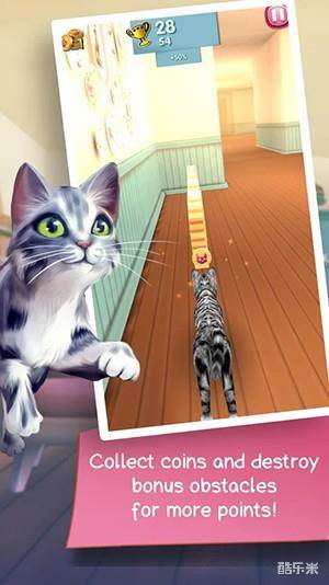 猫咪跑酷