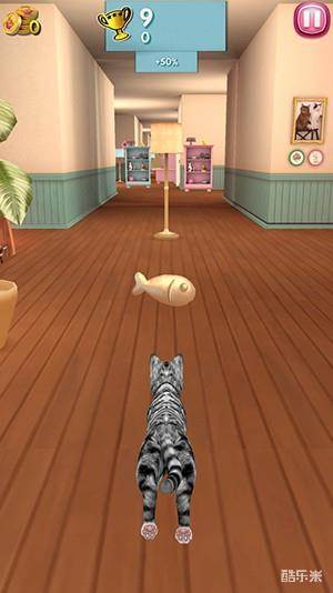 猫咪跑酷