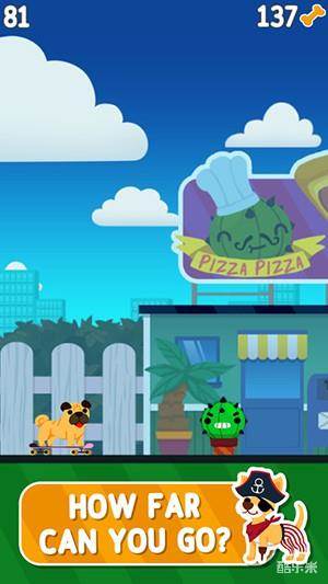 柯基犬职业滑板