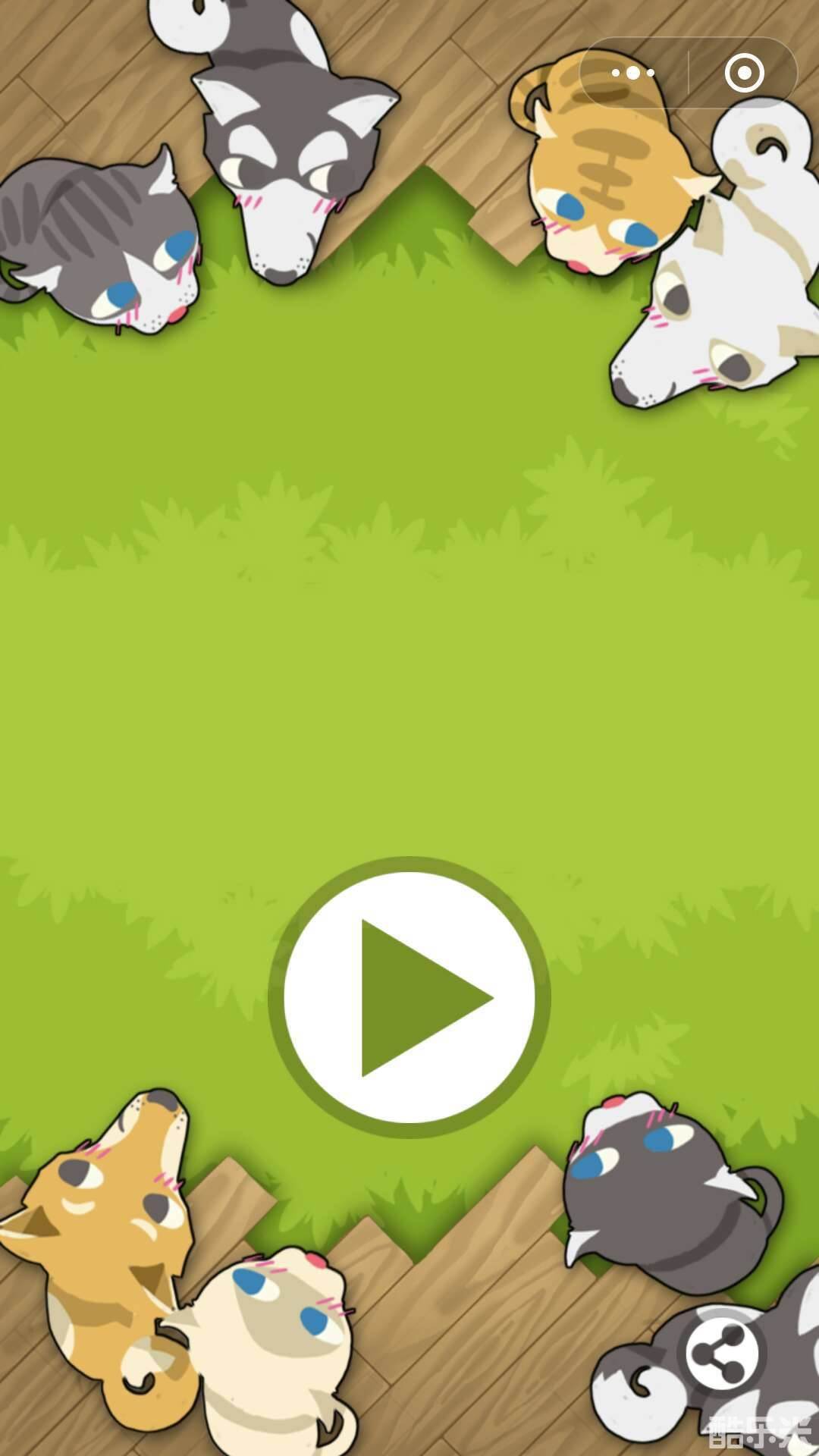 猫猫狗狗一起玩