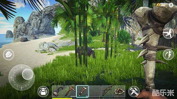 最后的海盗:岛屿生存