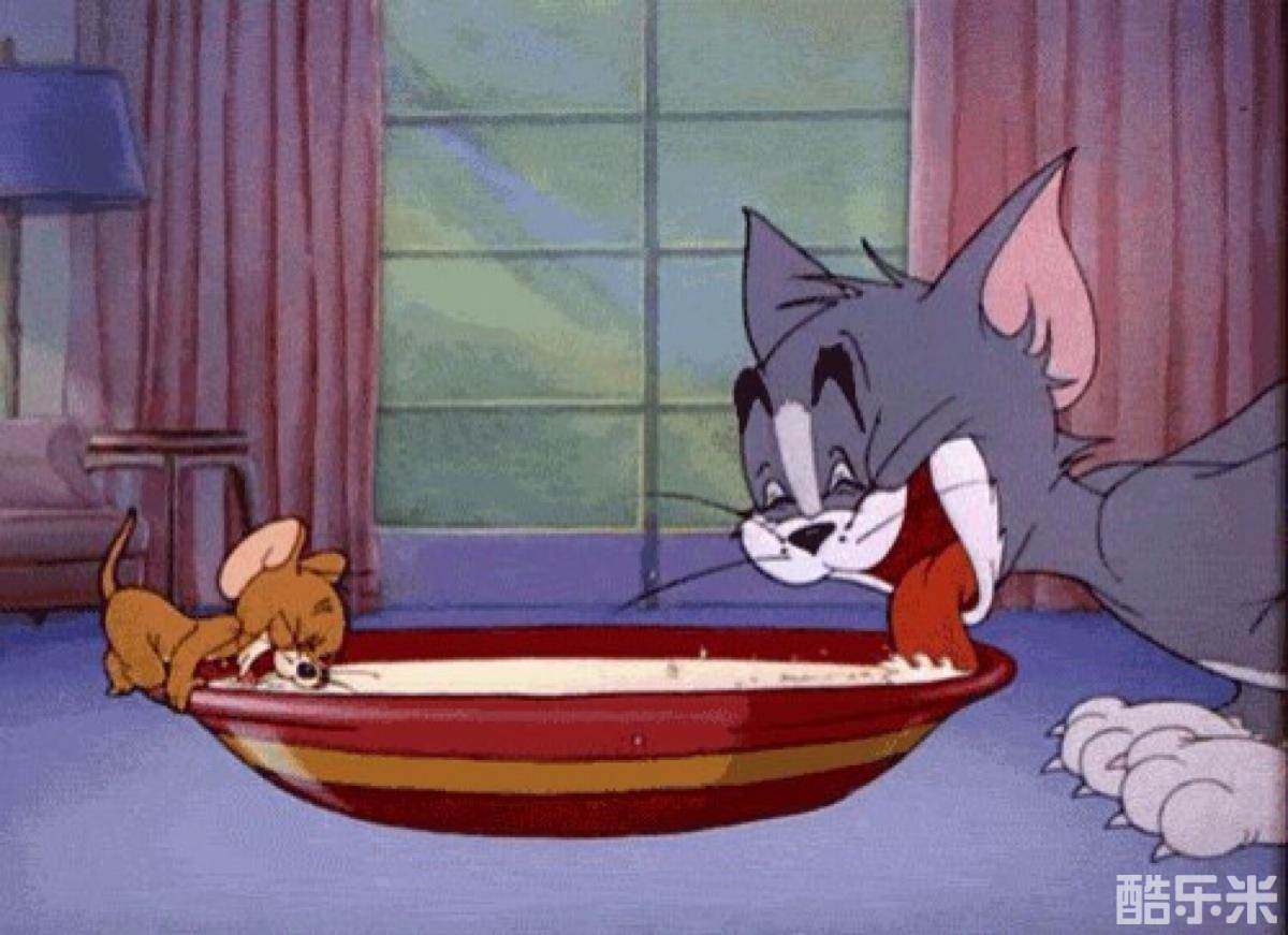 猫和老鼠