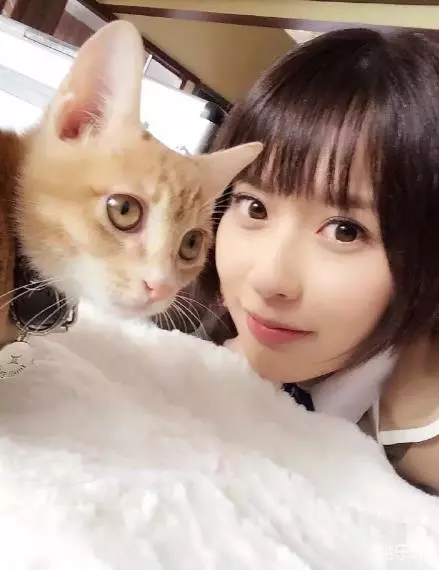 王子清