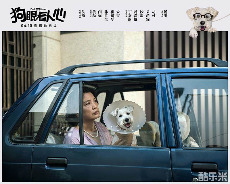 狗眼看人心
