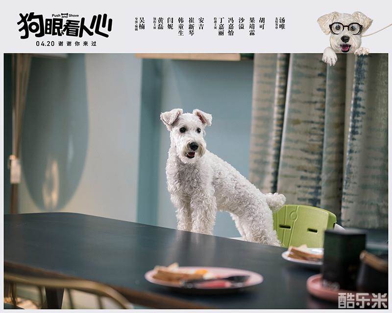 狗眼看人心